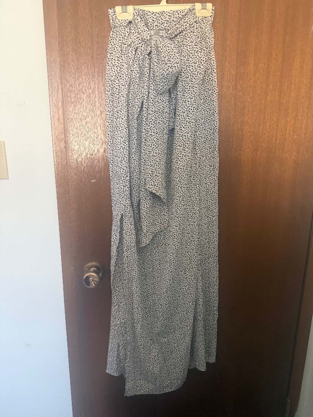 Zara maxi skirt